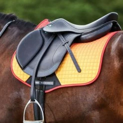 Brand new 🧨 Saddle Pads & Fittings Weatherbeeta Prime All Purpose Ombre Saddle Pad ❤️ 29 Saddle Pads & Fittings Weatherbeeta Prime All Purpose Ombre Saddle Pad