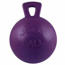 Jacks Mfg Jolly Ball With 10" Handle