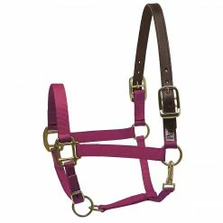 Perri's Leather Perri's Premium Nylon Safety Halter Halters & Leads