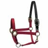 Perri's Leather Perri's Premium Nylon Safety Halter Halters & Leads