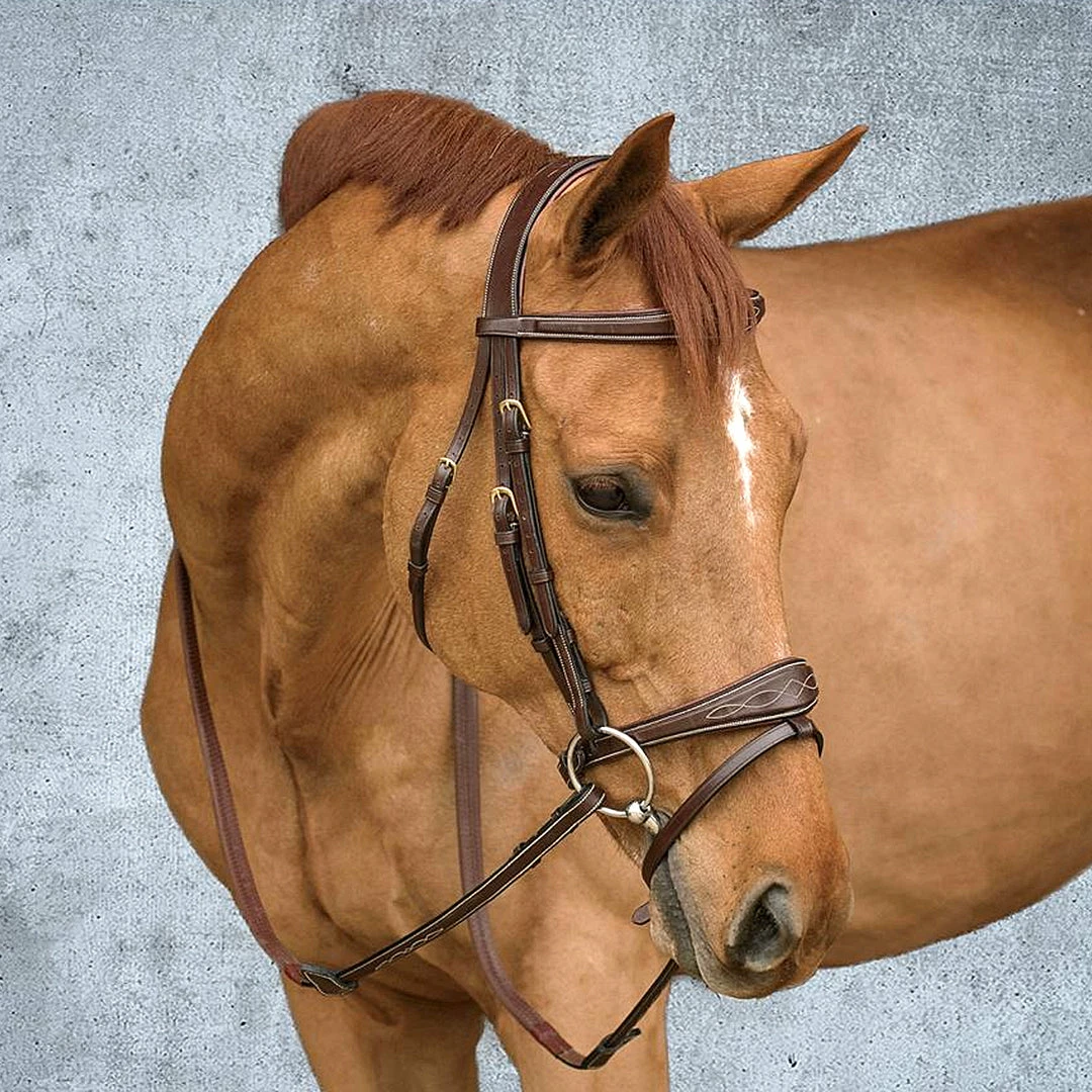 Best Sale 🔔 Sagmae Dyon 5/8" Rubber Reins - Hunter Collection 🥰 3 Sagmae Dyon 5/8" Rubber Reins - Hunter Collection