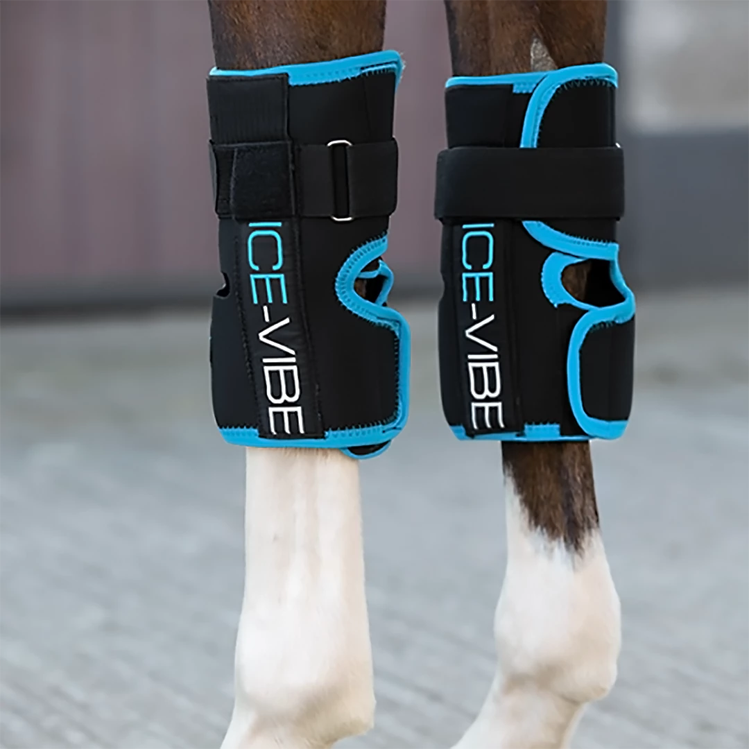 Cheapest โ๏ธ Therapeutic Horse ๐ฅพ Boots & Wraps Ice-Vibe Knee Wrap By Horseware ๐ 3 Therapeutic Horse Boots & Wraps Ice-Vibe Knee Wrap By Horseware