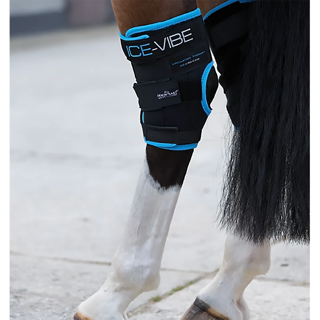 Coupon 😀 Ice-Vibe Hock Wrap By Horseware Therapeutic Horse 🥾 Boots & Wraps 💯 3 Ice-Vibe Hock Wrap By Horseware Therapeutic Horse Boots & Wraps