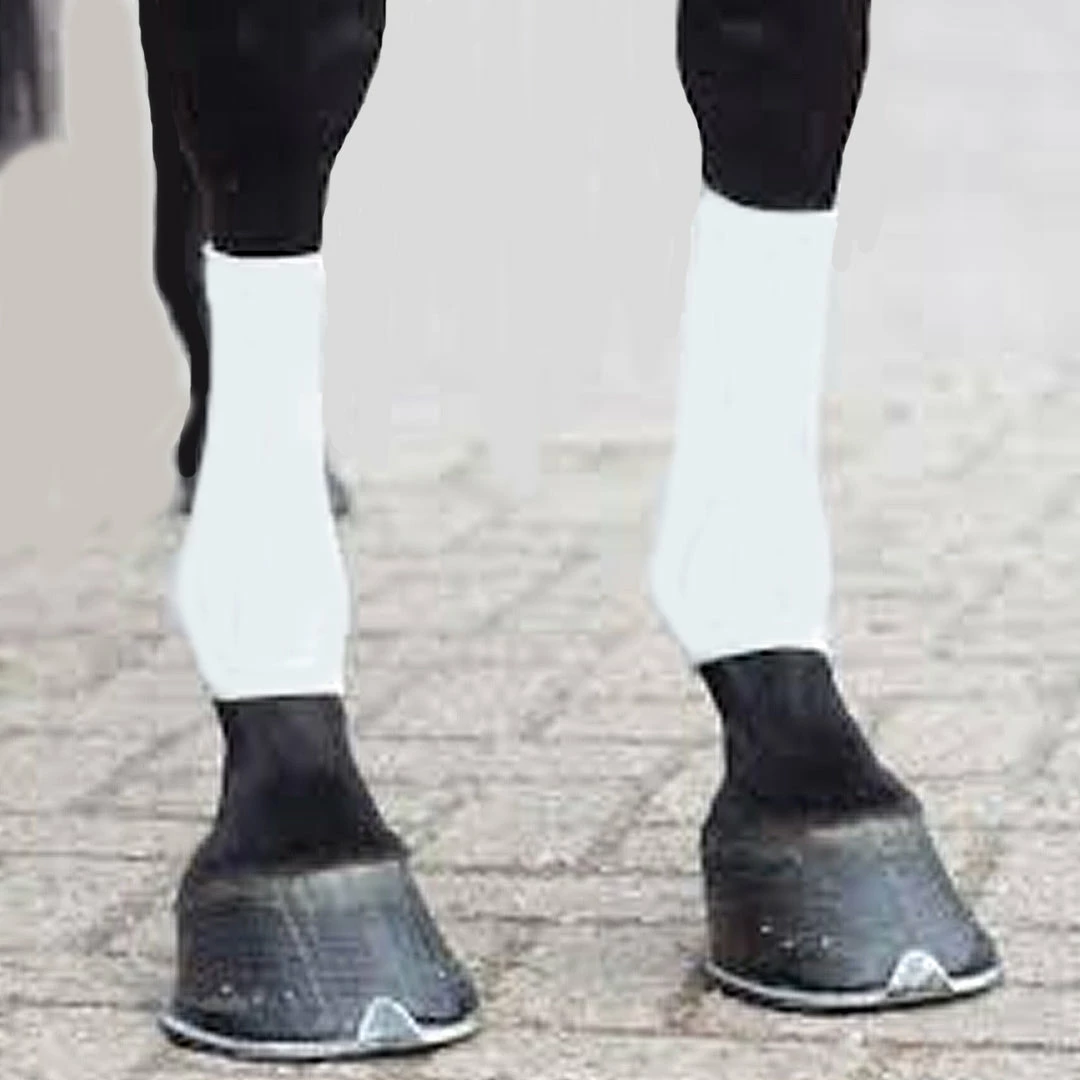 Brand new 🎉 Grooming EquiFit Horsesox 🥰 5 Grooming EquiFit Horsesox