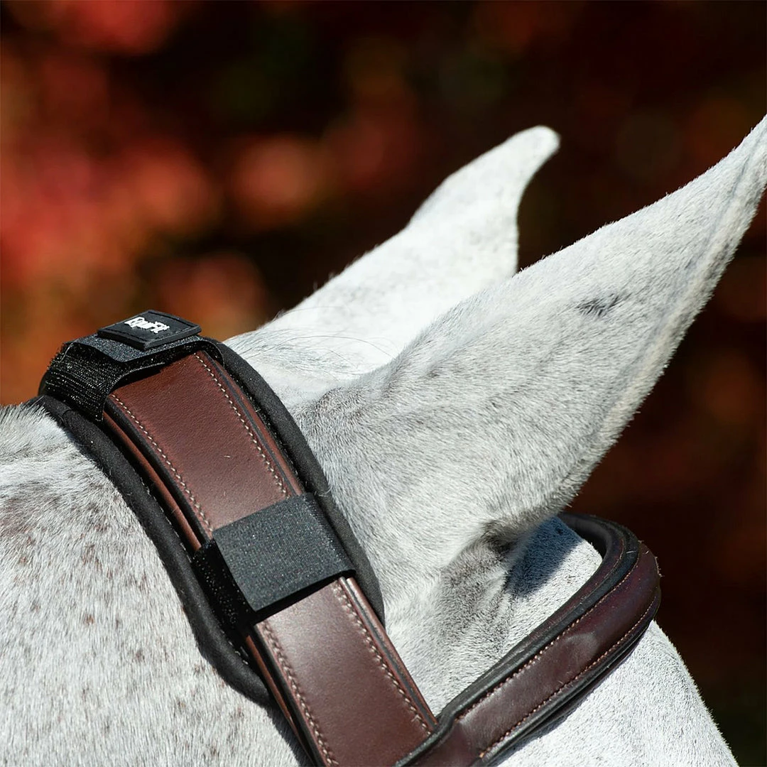 Outlet 🎁 EquiFit ImpacTeq CrownPad English Bridles 🎉 4 EquiFit ImpacTeq CrownPad English Bridles
