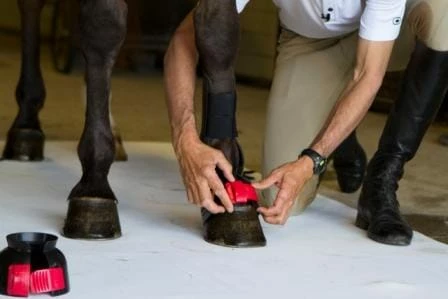 Best Sale 😍 ThinLine Gatorbootz Bell Boot Horse 🥾 Boots & Wraps 👏 12 ThinLine Gatorbootz Bell Boot Horse Boots & Wraps