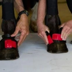 Best Sale 😍 ThinLine Gatorbootz Bell Boot Horse 🥾 Boots & Wraps 👏 24 ThinLine Gatorbootz Bell Boot Horse Boots & Wraps