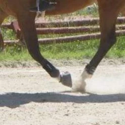 Best Sale 😍 ThinLine Gatorbootz Bell Boot Horse 🥾 Boots & Wraps 👏 25 ThinLine Gatorbootz Bell Boot Horse Boots & Wraps