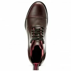 Buy 🌟 Ariat 👩 Women's Performer Nitro Paddock Boot 🔔 18 Ariat Women's Performer Nitro Paddock Boot