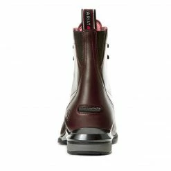Buy 🌟 Ariat 👩 Women's Performer Nitro Paddock Boot 🔔 15 Ariat Women's Performer Nitro Paddock Boot