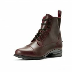 Buy 🌟 Ariat 👩 Women's Performer Nitro Paddock Boot 🔔 16 Ariat Women's Performer Nitro Paddock Boot